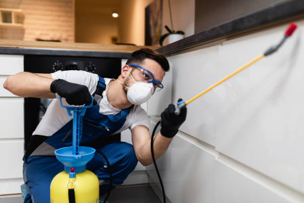 Best Best Pest Control Companies  in Lakeside, VA