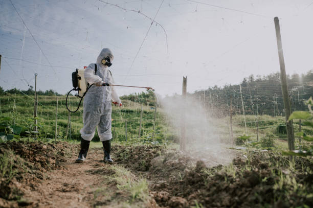 Best Pest Prevention Services  in Lakeside, VA