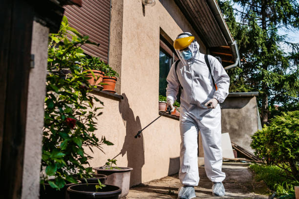 Wasp Removal Services in Lakeside, VA