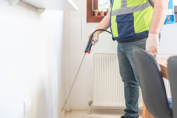 Best Flea Control Services  in Lakeside, VA
