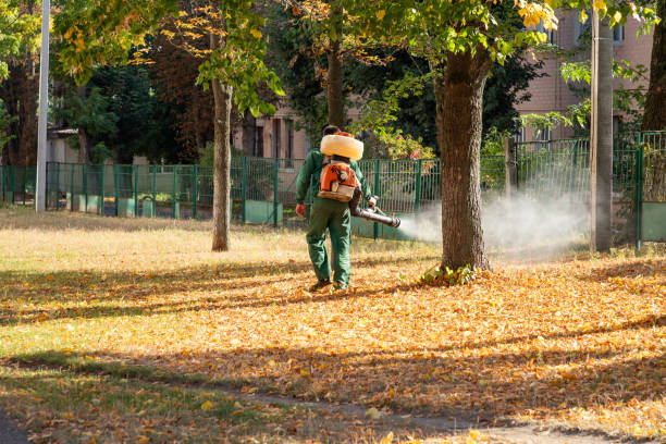 Best Exterminator Services  in Lakeside, VA